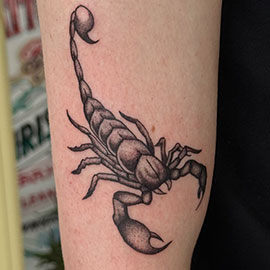Custom Scorpion Blackwork Fineline Design by sheila.tattoos Black Pearl Tattoo Santa Cruz CA